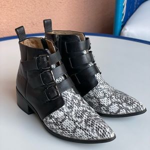 Raye Black + Snakeskin Rocker Short Booties with 3 buckle closures and a zipper